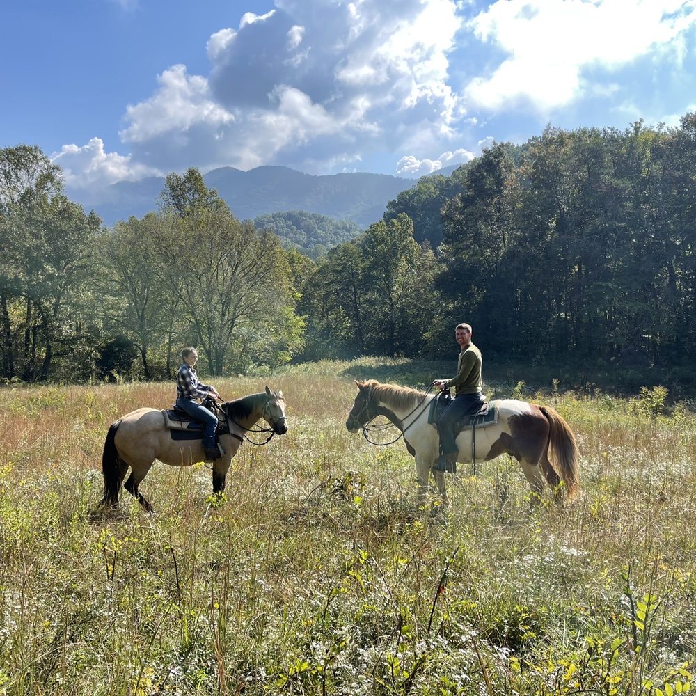 Horses, trail riding, relaxing, adventure, education, FUN Horses, trail riding, relaxing, adventure, education, FUN