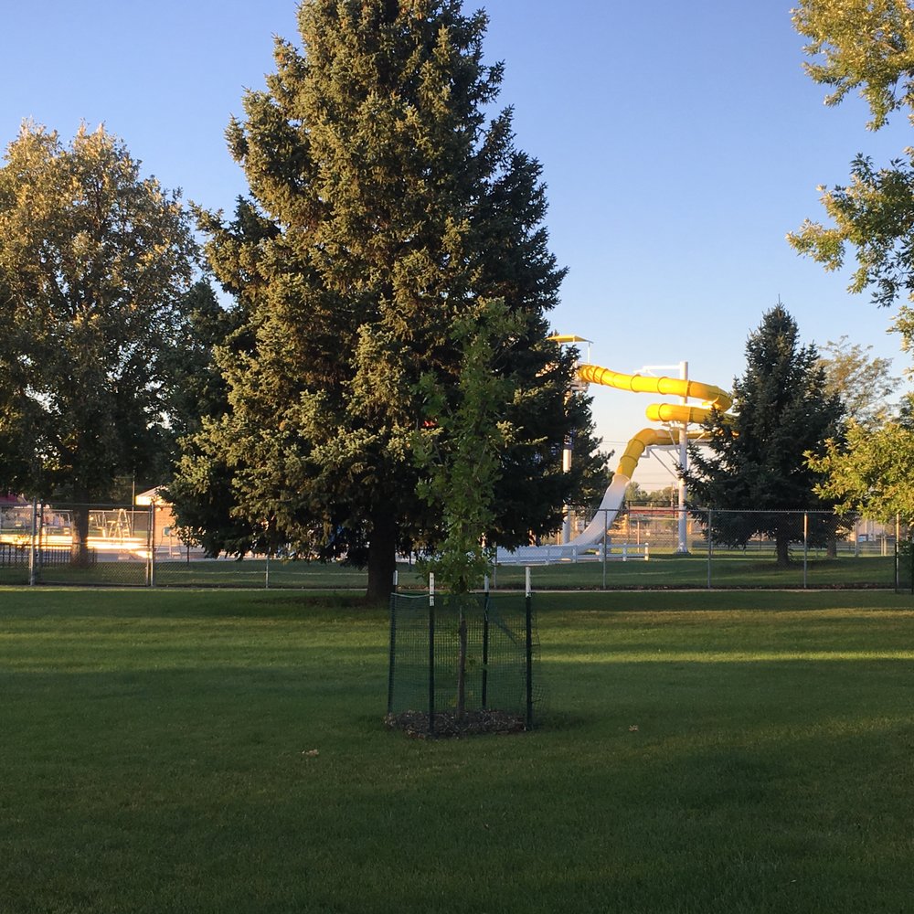 Rose Park - Parks Near Me - Billings, Montana Rose Park - Parks Near Me - Billings, Montana