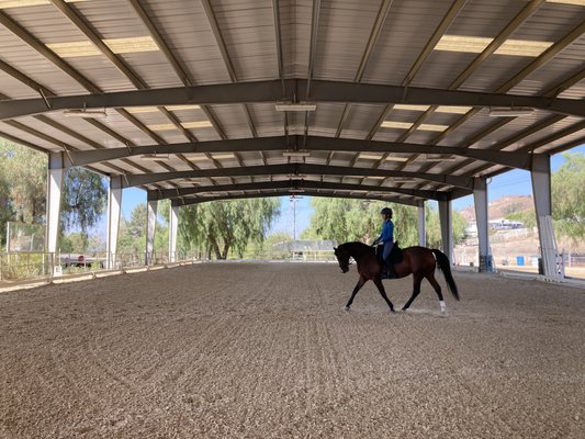 REGAL EQUESTRIAN - 13 Photos - 11270 Dominica Ave, Lake View Terrace ...