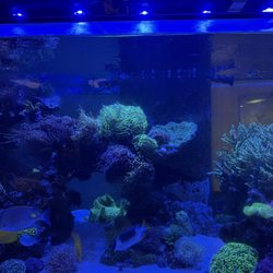 Fishy Business Aquariums & Supplies