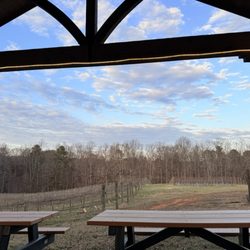 Mulberry Springs Vineyard & Winery - Pretty!