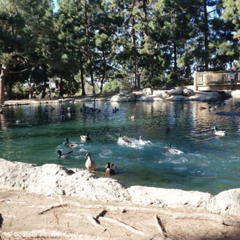 Tewinkle Park - Duck pond - Parks Near Me - Costa Mesa, California Tewinkle Park - Duck pond - Parks Near Me - Costa Mesa, California