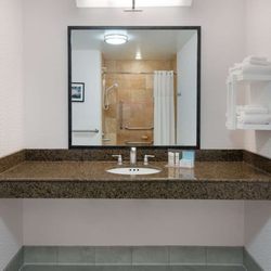 Hampton Inn & Suites Buffalo Downtown - Guest room bath