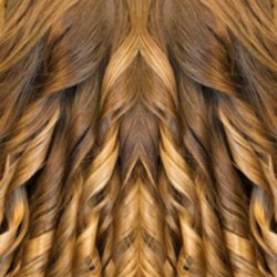 Hair by Elly