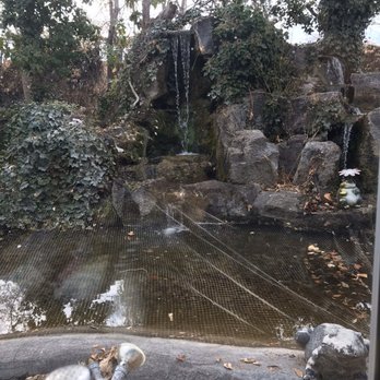 Casa De Benavidez - The view of the back yard from our seat. Nice and peaceful. - Mexican Near Me - Albuquerque, New Mexico