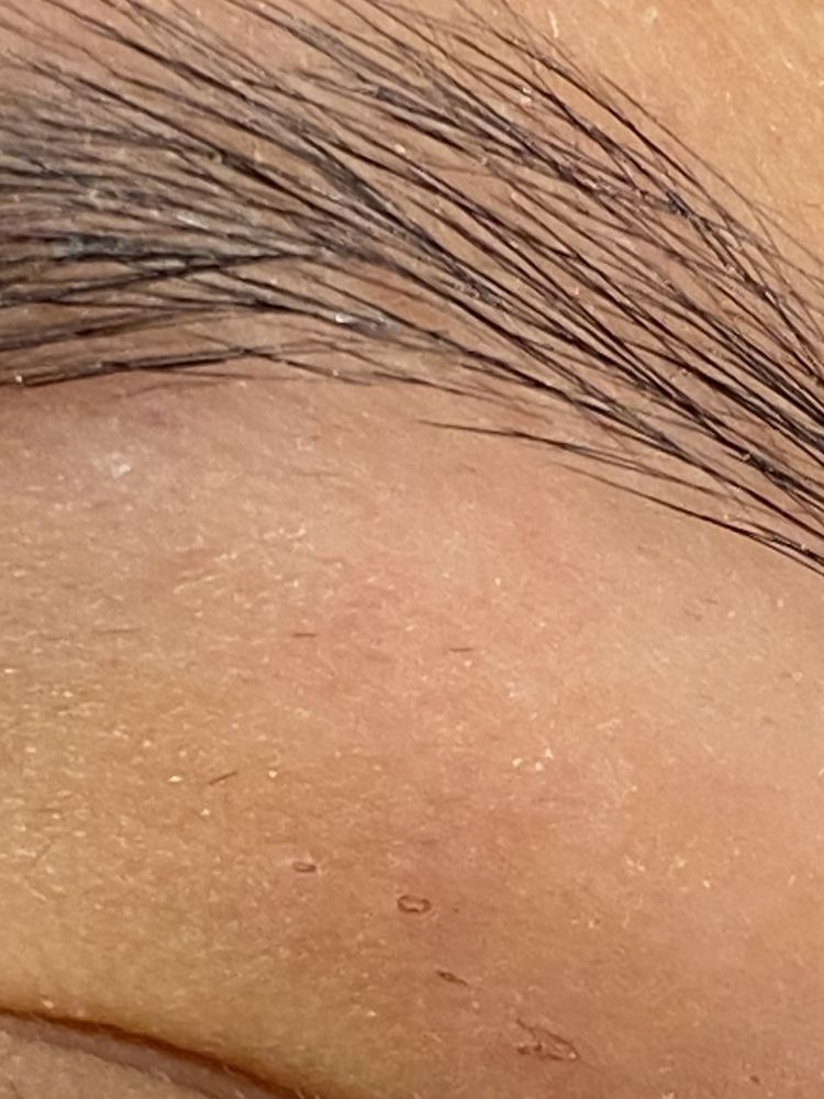 THE THREADING CLUB AND SPA Updated September 2024 632 North Main St