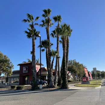 HS Tree Service - Palms - Tree Services Near Me HS Tree Service - Palms - Tree Services Near Me