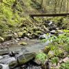 Macleay Park gift card