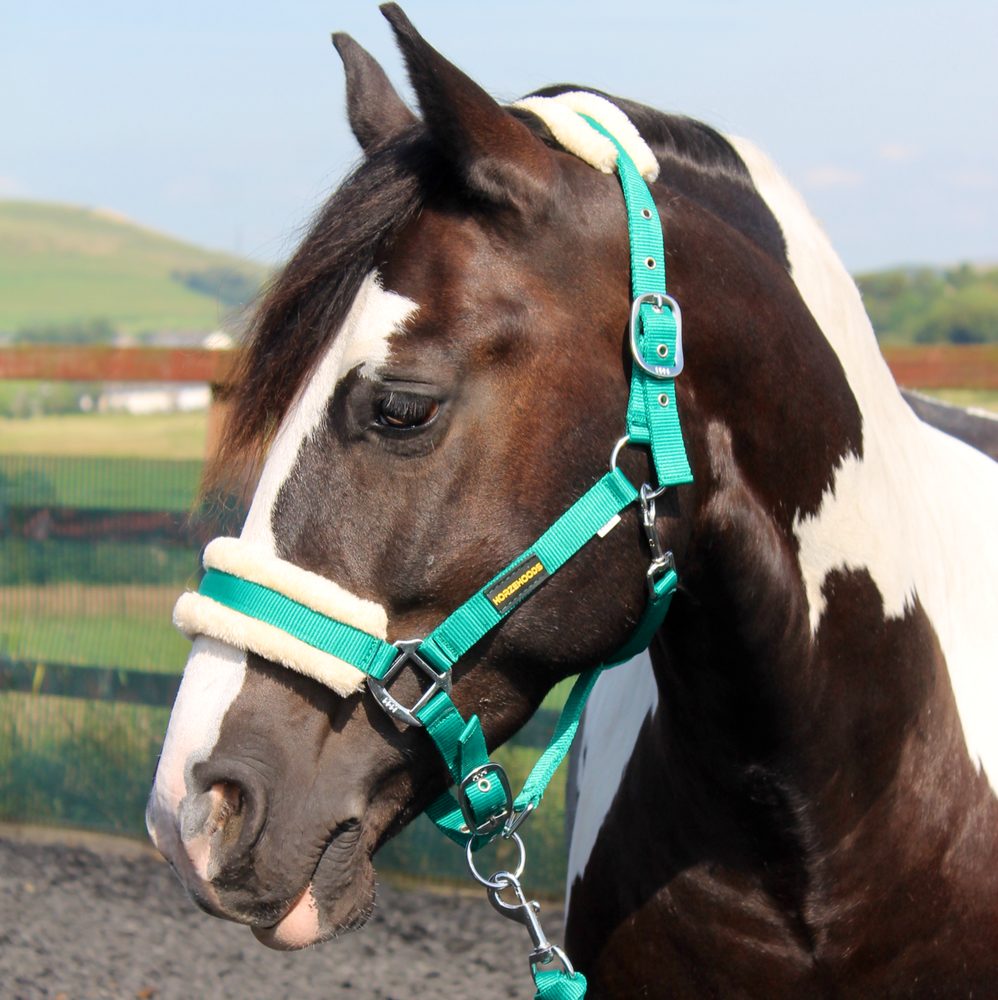 HORZEHOODS Updated May 2024 Unit 2 Jones Court Jones Square