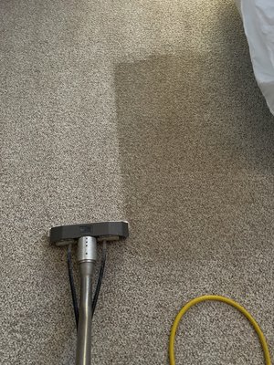 Carpet Cleaning! - Revitalize your home with our professional carpet steaming services! Say goodbye to stubborn stains and odors as our expert team employs advanced steam cleaning techniques to restore the vibrancy and freshness of your carpets. Our eco-friendly approach ensures a deep, thorough cleanse without harsh chemicals. Experience the luxury of walking on impeccably clean carpets and create a healthier living environment for your loved ones. Trust us for unparalleled carpet steaming that goes beyond the surface, leaving your floors looking and feeling as good as new. Schedule your appointment today and let the transformative power of steam bring your carpets back to life! Carpet Cleaning! - Revitalize your home with our professional carpet steaming services! Say goodbye to stubborn stains and odors as our expert team employs advanced steam cleaning techniques to restore the vibrancy and freshness of your carpets. Our eco-friendly approach ensures a deep, thorough cleanse without harsh chemicals. Experience the luxury of walking on impeccably clean carpets and create a healthier living environment for your loved ones. Trust us for unparalleled carpet steaming that goes beyond the surface, leaving your floors looking and feeling as good as new. Schedule your appointment today and let the transformative power of steam bring your carpets back to life!