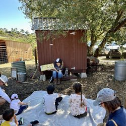 Olivenhain Farms