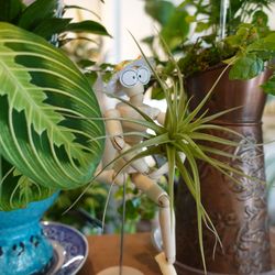 Portilla Home & Garden