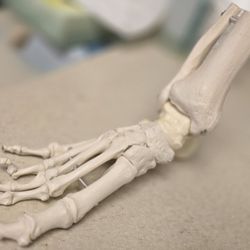 Capital Foot & Ankle