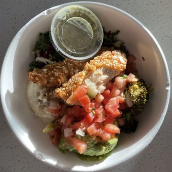 Fresh Kitchen - Vegetarian Near Me - Boca Raton, Florida Fresh Kitchen - Vegetarian Near Me - Boca Raton, Florida