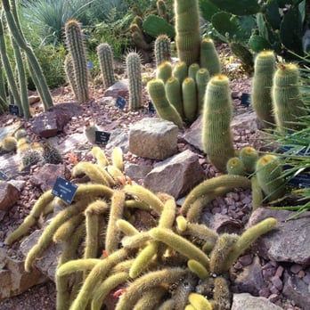 Royal Botanic Garden Edinburgh - Cacti - Botanical Gardens Near Me - Edinburgh, EDH
