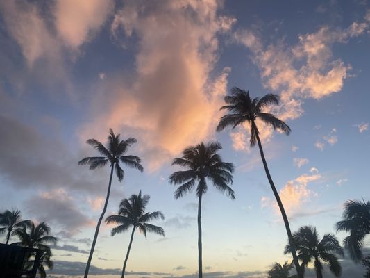 The Mauian Hotel by null