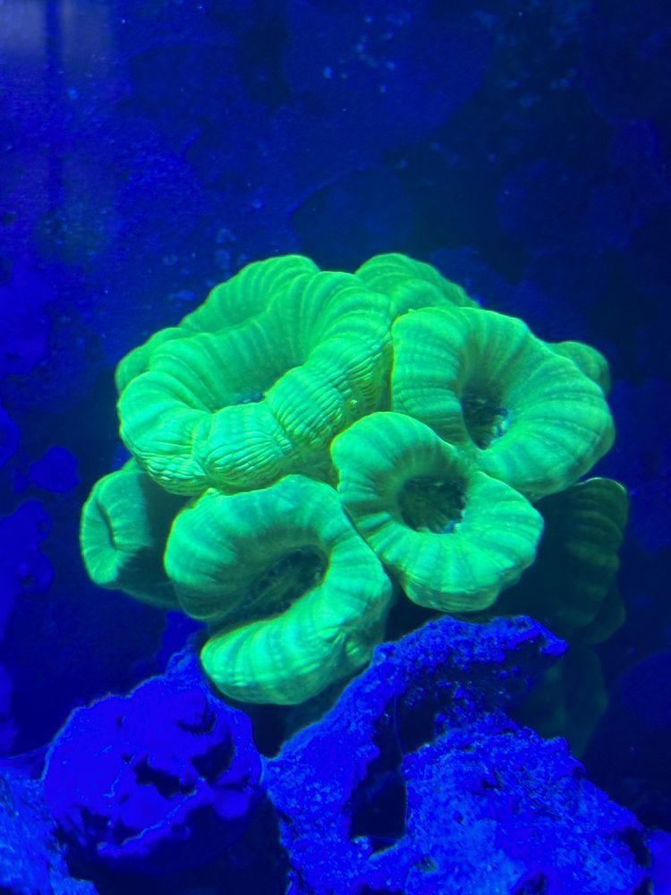 THE SALTY DOG INC Updated September 2024 145 South Main St