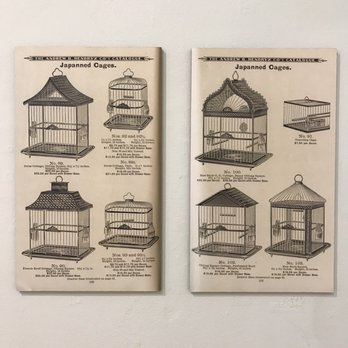 New Haven Museum - Excerpts from the bird cage catalogue - Museums Near Me - New Haven, Connecticut