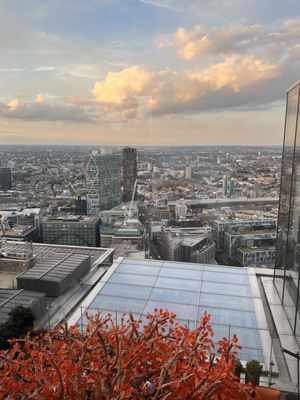 Duck & Waffle by null