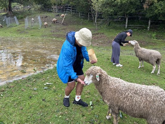 Qingjing Farm by null