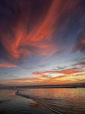 Cardiff State Beach by null