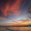 Cardiff State Beach gift card