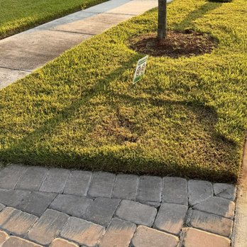 Top Lawn Pros - Lawn Services Near Me - Riverview, Florida Top Lawn Pros - Lawn Services Near Me - Riverview, Florida