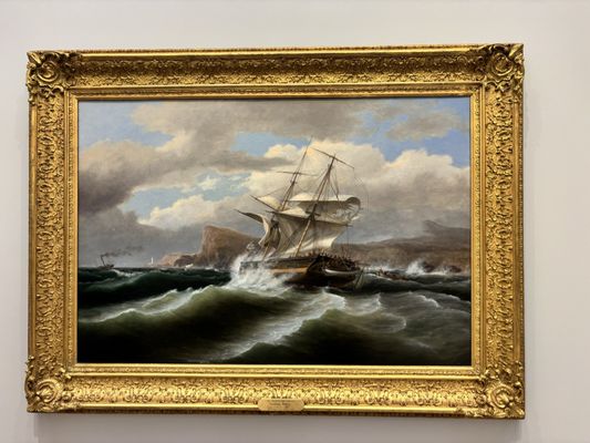 Timken Museum of Art by null