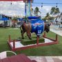 Photo of Buffalo Wings & Grill