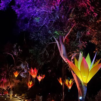 Lightscape San Diego - Botanical Gardens Near Me - Encinitas, California Lightscape San Diego - Botanical Gardens Near Me - Encinitas, California