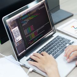 Anelis Network - Programadores web