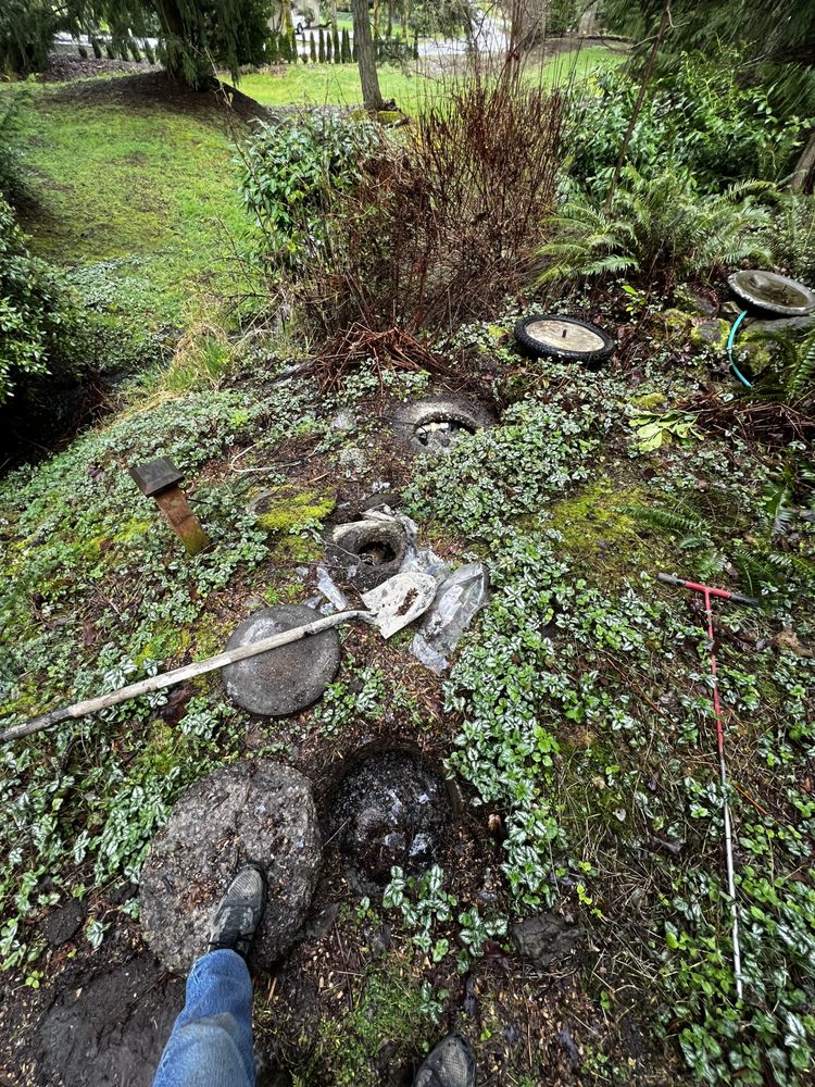 Slide of Septic Response