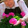 Living Well Senior Concierge Services