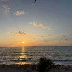 Bsea Cancun Plaza Hotel - Sunrise from the balcony