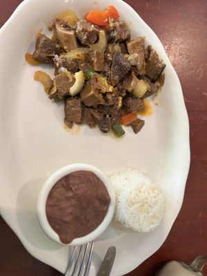 Judy Restaurant by null