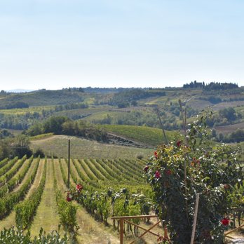 Walkabout - Tours Near Me - Florence, FI