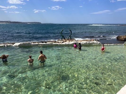 Shelly Beach by null