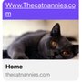 The Cat Nannies