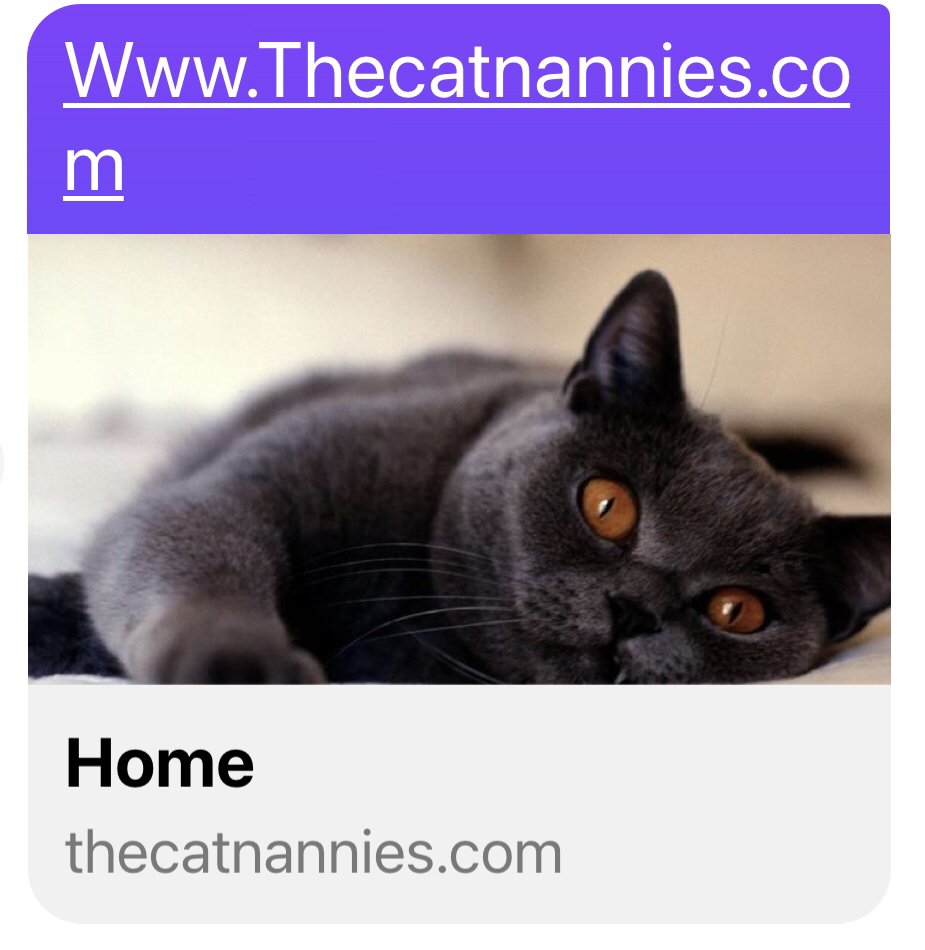 The Cat Nannies - pet boarding facility in Henderson, NV