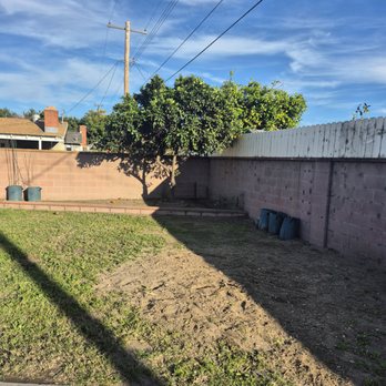 Juan Tree Service - Tree Services Near Me - Buena Park, California Juan Tree Service - Tree Services Near Me - Buena Park, California