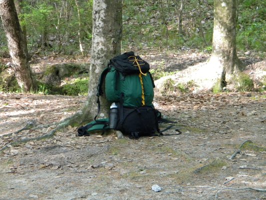 Wild Azalea Trailhead by null