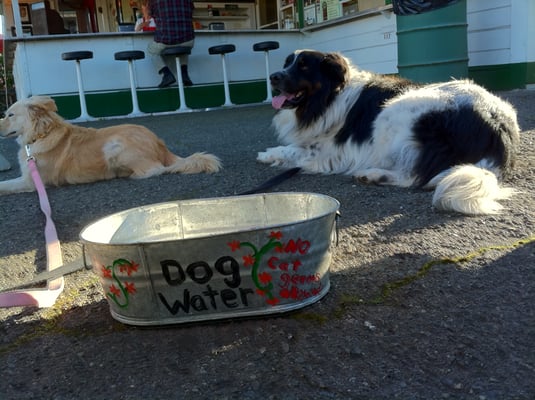 Pick's Drive-In by null