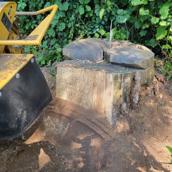 Sander Land Services - Big stumps are not match - Tree Services Near Me - Concord, Ontario Sander Land Services - Big stumps are not match - Tree Services Near Me - Concord, Ontario