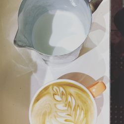 Perfect Cup West Lakes