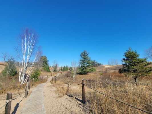 Kohler-Andrae State Park by null