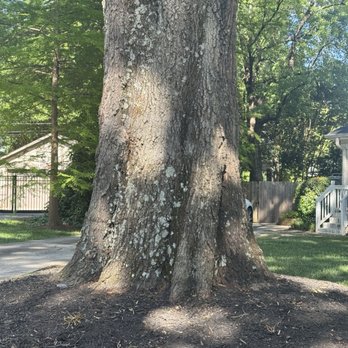 Clanton Park - Curled trunk - Parks Near Me - Charlotte, North Carolina Clanton Park - Curled trunk - Parks Near Me - Charlotte, North Carolina