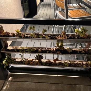 The Lab Collaborative - Outside planter - New American Near Me - Oceanside, California The Lab Collaborative - Outside planter - New American Near Me - Oceanside, California
