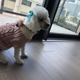 Sparkle's fresh cut and sweater Sparkle's fresh cut and sweater