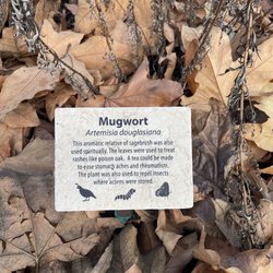 Sycamore Grove Park