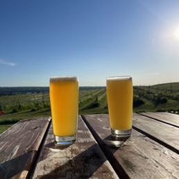 two glasses of beer on a wooden table